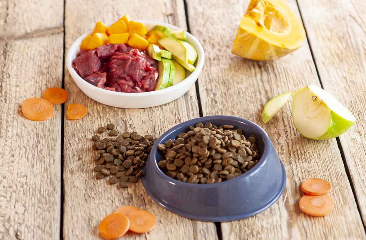 натуралка или сухой корм для собак натуралка или сухой корм для собак