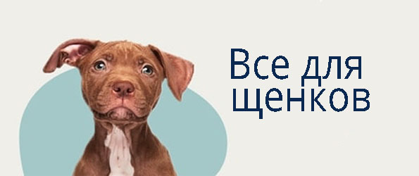 ZooMag.ru — проверенный интернет-магазин товаров для домашних животных