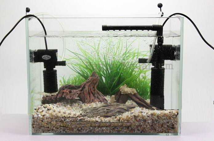 Коли потрібно вимикати фільтр в акваріумі?