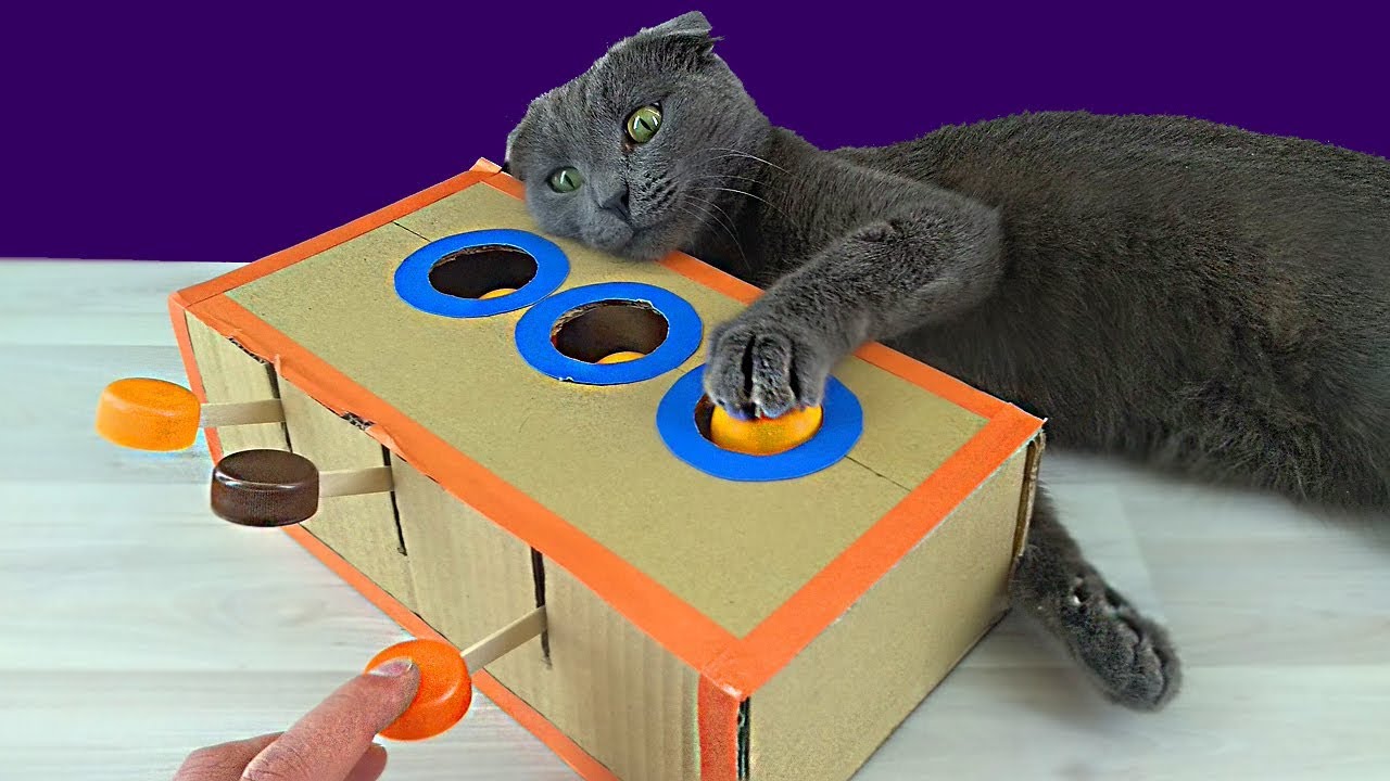 Как сделать игрушку для кошки своими руками? - пластиковыеокнавтольятти.рф