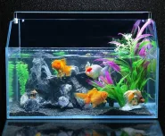 LED-светильник для аквариума Quanlong в Черном корпусе 0