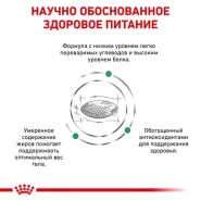 Royal Canin DIABETIC сухой корм для кошек c диабетом 0