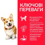 Hill's (Хиллс) Science Plan Adult Small&Mini with Chicken Сухой корм для собак малых пород с курицей 0