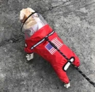Дождевик USA красный