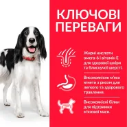 Hill's (Хиллс) Science Plan Adult Medium with Chicken Сухой корм для собак средних пород с курицей 0