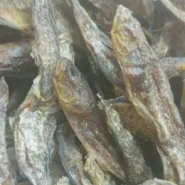 Рыба бычок лакомство для животных 1 кг