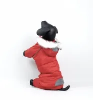 Костюм Аляска красный