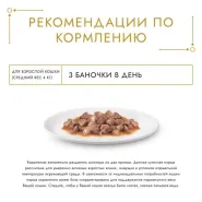 Gourmet Gold шматочки в соусі для котів із куркою, 85 г 0