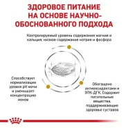 Royal Canin Urinary C S/O (Роял Канин) консервы для собак 100 г 0