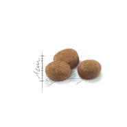Royal Canin STERILISED 7+ (Роял Канін) сухий корм для стерилізованих котів старше 7 років 0