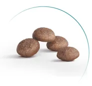 Royal Canin Ageing 11+ Sterilised сухий корм для стерилізованих кішок від 11 років, 2 кг 0