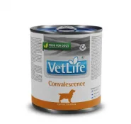 Влажный корм Farmina Vet Life Convalescence для собак для восстановления, 300 г