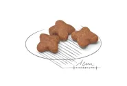 Royal Canin MINI ADULT 8+ для стареющих собак мелких пород 0
