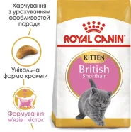 АКЦИЯ Royal Canin British Shorthair Kitten сухой корм для британских короткошерстных котят 2 кг + 12 паучей 0