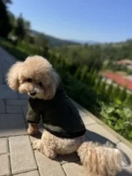 Худи Digi Dog для собак с карманом, Хаки XL 40 см./62 см.