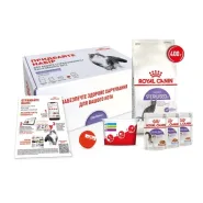 Набор сухого и влажного корма Royal Canin Sterilised для кошек 400 г + 3 х 85 г паучей 0