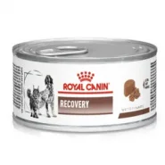 Royal Canin Recovery вологий корм для собак та кішок 195 г