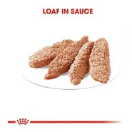 Royal Canin Exigent Loaf 85г корм для вибагливих собак 0