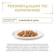 Gourmet Gold шматочки в соусі для котів із яловичиною, 85 г 0