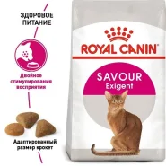 АКЦИЯ Royal Canin Exigent Savour сухой корм для привередливых кошек 2 кг + 12 паучей 0
