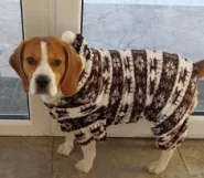Комбинезон с оленями коричневый 0