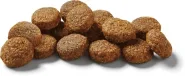 Nutram I20 Ideal Solution Support Sensitive Skin, Coat with Stomach Dog Сухой корм для собак с проблемами кожи, шерсти или желудка с ягненком 0