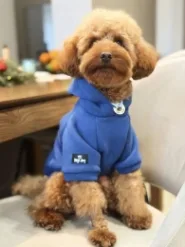 Худи French Digi Dog для собак толстовка синяя. L. 36 см. / 58 см.