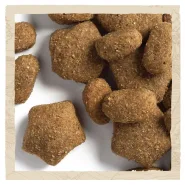 Акция! Dog Chow Active Adult 1+ Сухой корм для активных собак с курицей, 14 кг 0