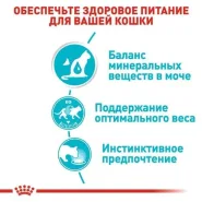 Royal Canin WET URINARY CARE (Роял Канин) консервы для котов 85г 0