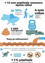 Контейнер с пакетами для фекалий на блистере 0