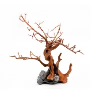Коряга мангровая искусственная, 26х22,5х32 см 0