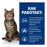 Hill's Prescription Diet Metabolic Weight Loss Корм для котів із надмірною вагою з куркою 0