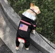 Дождевик USA черный