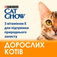 Cat Chow Adult Сухий корм для котів з куркою 0