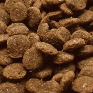 Fun Tasty Сухий корм для собак з телятиною та овочами, 6 кг 0