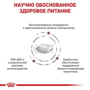 Royal Canin Hepatic сухой корм для собак при заболеваниях печени 0