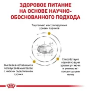 Royal Canin URINARY S/O для мочевыделительной системы собак 0