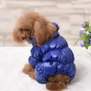 Комбинезон зимний синий, XL 0