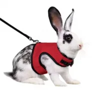 Шлейка с поводком для грызунов красная (25-40см/1,2м)