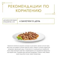 Gourmet Gold шматочки для котів із кроликом і печінкою, 85 г 0