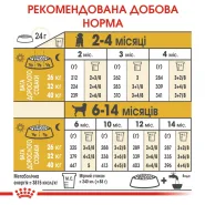 АКЦІЯ Royal Canin Maine Coon Kitten сухий корм для кошенят породи мейн-кун 2 кг + 12 паучів + схема 0