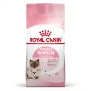 Royal Canin Mother and Babycat сухий корм для кошенят і кішок під час вагітності та лактації