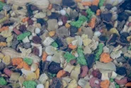Экзотическая смесь для грызунов и кроликов, Lolopets 0