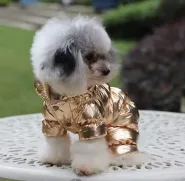 Комбинезон зимний золото, XL 0
