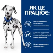 Hills (Хиллс) Prescription Diet Canine u/d Urinary Care Лечебный корм для собак с заболеваниями почек и мочеполовых путей, 12 кг 0
