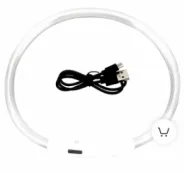 Ошейник Светящийся USB хамелеон, 1 см/28-35 см/35 см