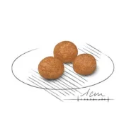 Royal Canin X-SMALL ADULT для собак миниатюрных пород 0
