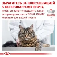 Диетический влажный корм для кошек Royal Canin Diabetic (при диабете), 85 г 0