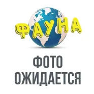 Набор для кормления голубой 60 мл