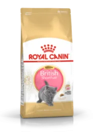 Royal Canin BRITISH SHORTHAIR KITTEN сухий корм для кошенят породи Британської короткошерстої